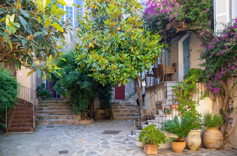 Créer un jardin méditerranéen grâce à l'aménagement paysager à Antibes