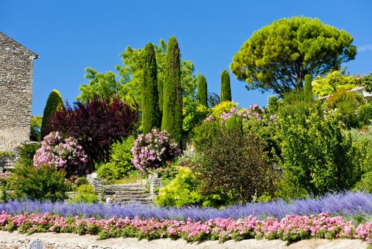 Comment entretenir votre jardin à Antibes de manière écologique ?